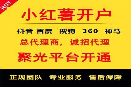 信息流竞价竞争策略：成功案例解析